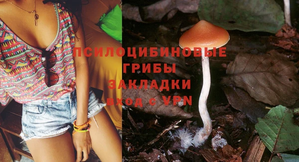 прущая мука Магас