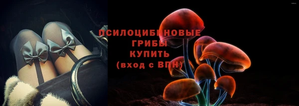 прущая мука Магас